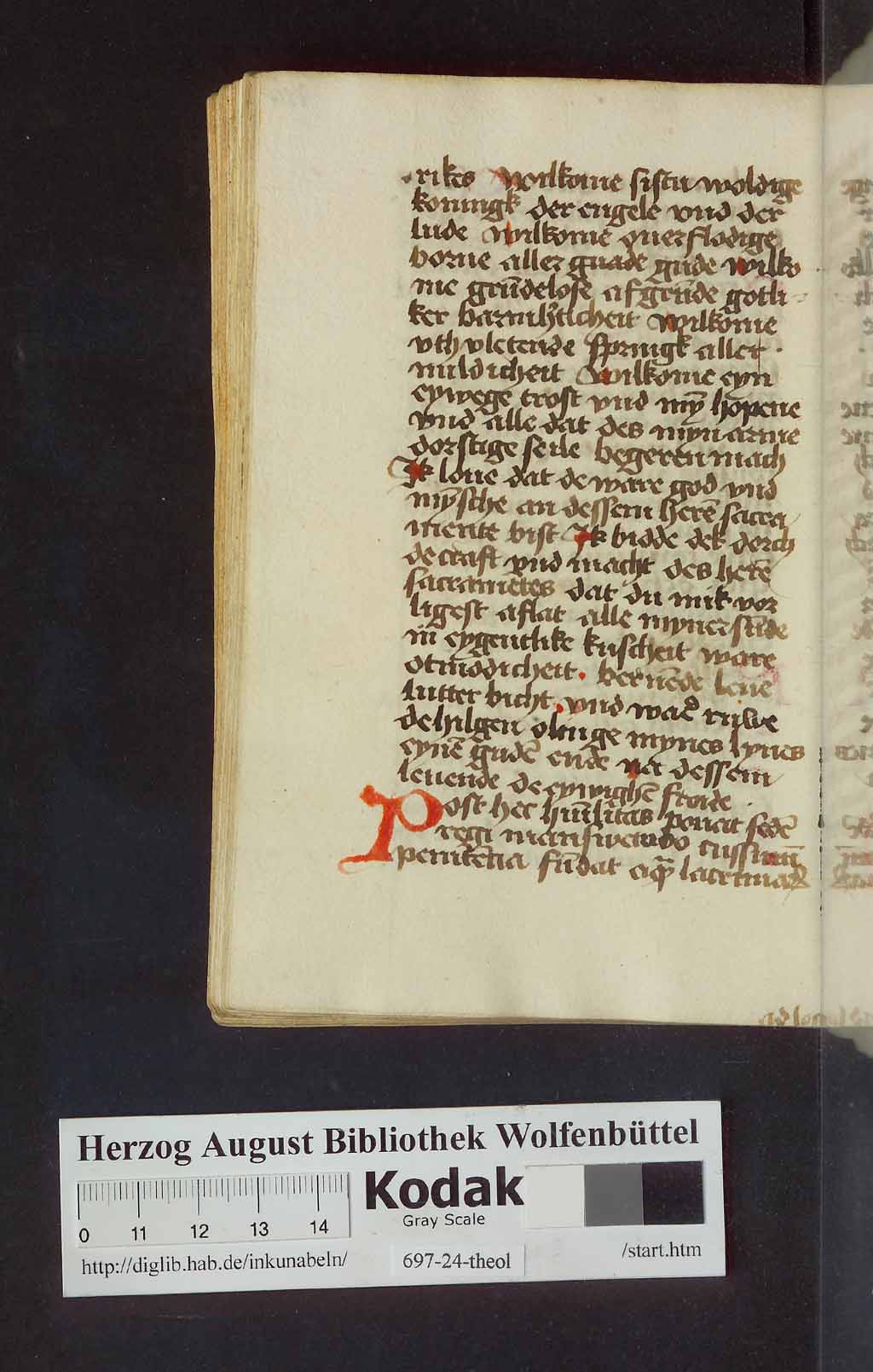 http://diglib.hab.de/mss/697-24-theol/00314.jpg