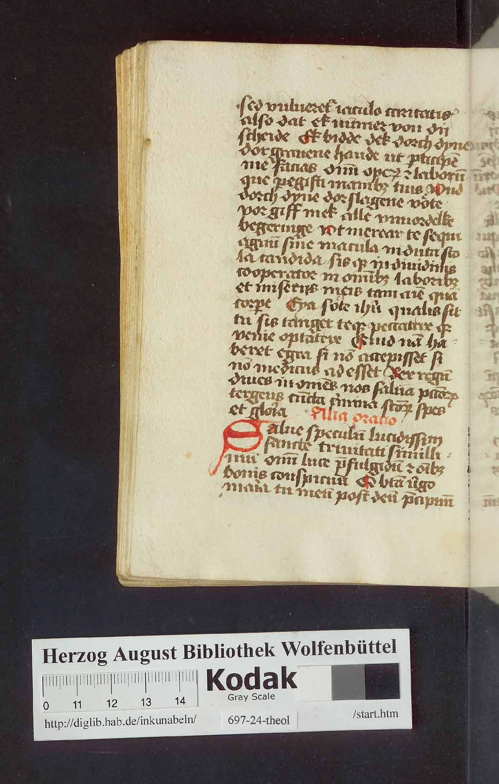 http://diglib.hab.de/mss/697-24-theol/00336.jpg