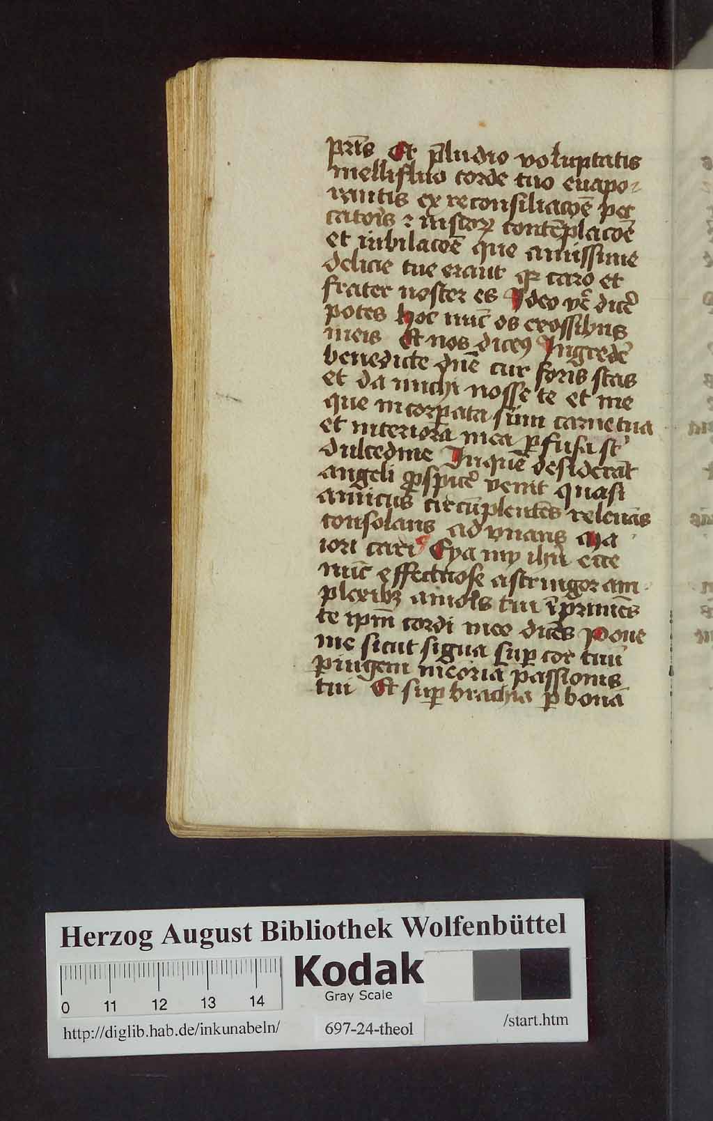 http://diglib.hab.de/mss/697-24-theol/00340.jpg