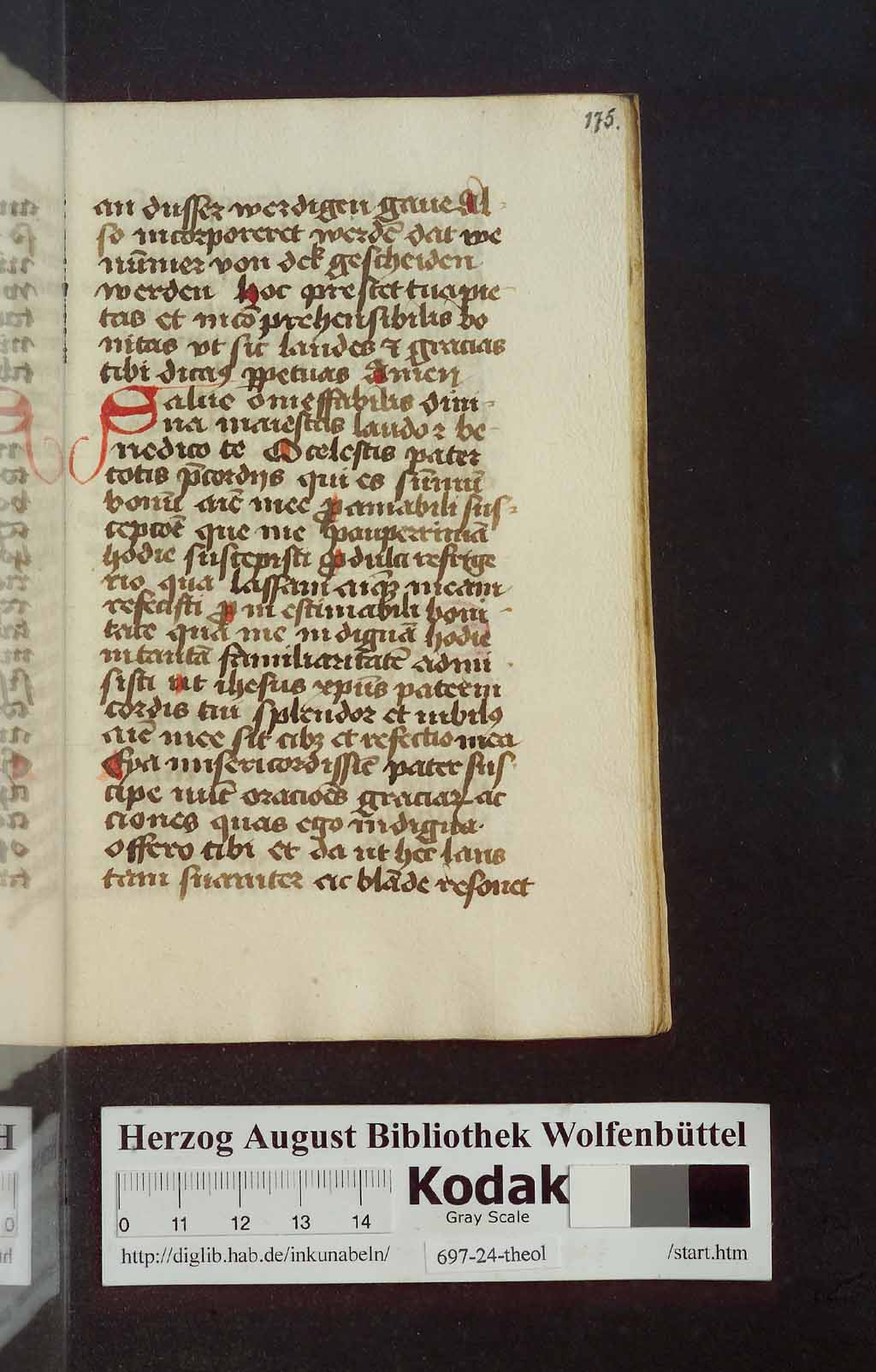http://diglib.hab.de/mss/697-24-theol/00351.jpg