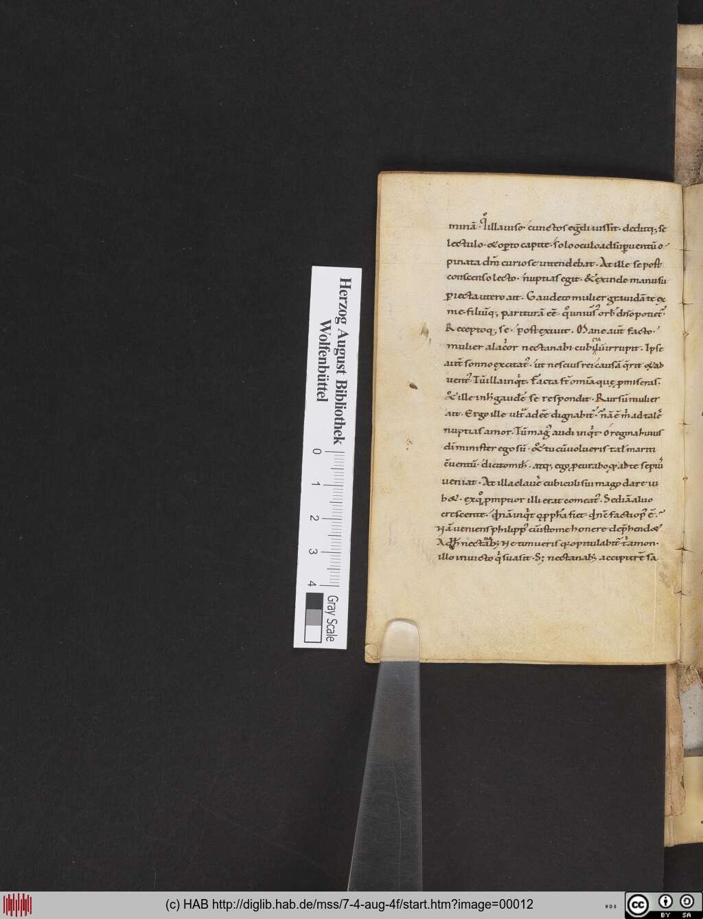 http://diglib.hab.de/mss/7-4-aug-4f/00012.jpg