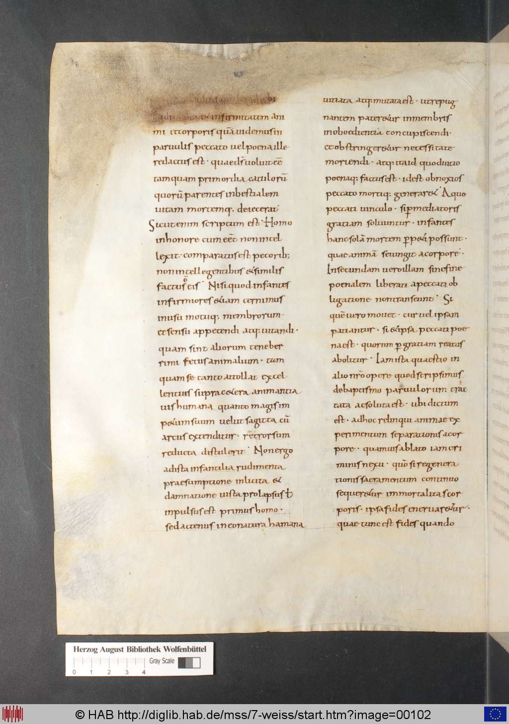 http://diglib.hab.de/mss/7-weiss/00102.jpg
