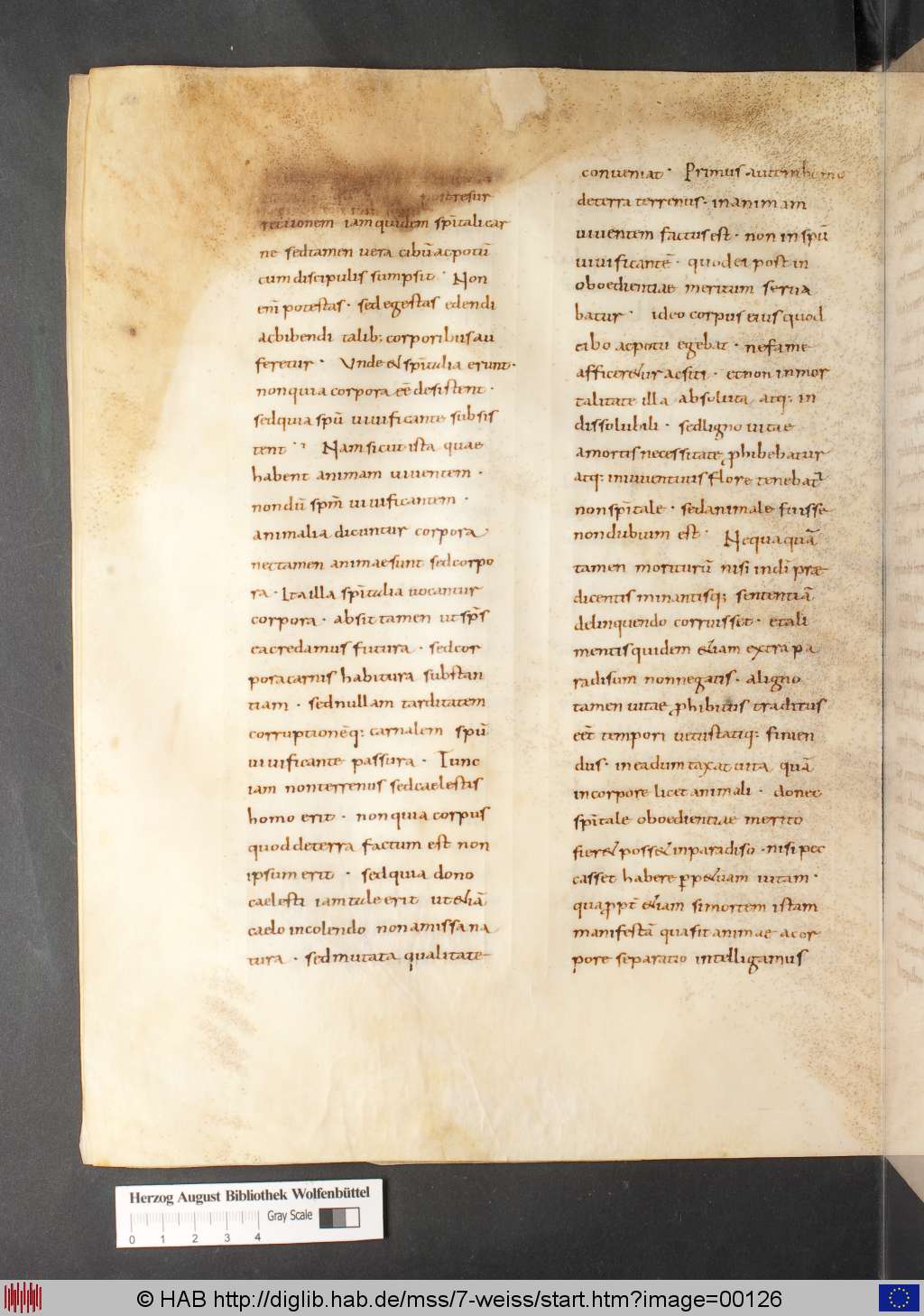 http://diglib.hab.de/mss/7-weiss/00126.jpg