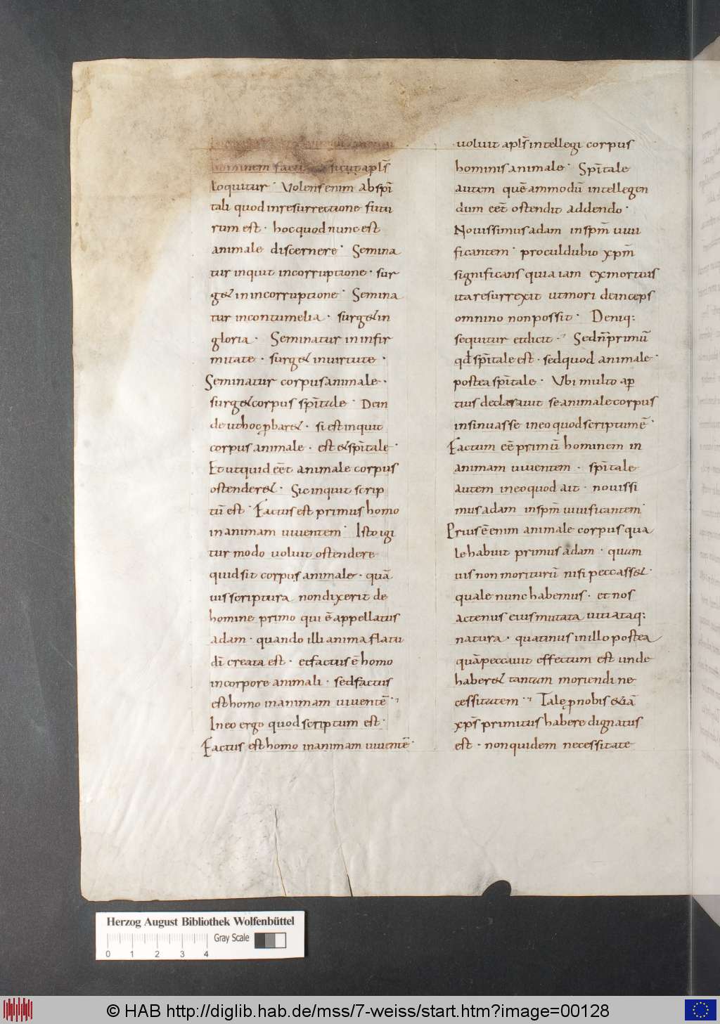 http://diglib.hab.de/mss/7-weiss/00128.jpg