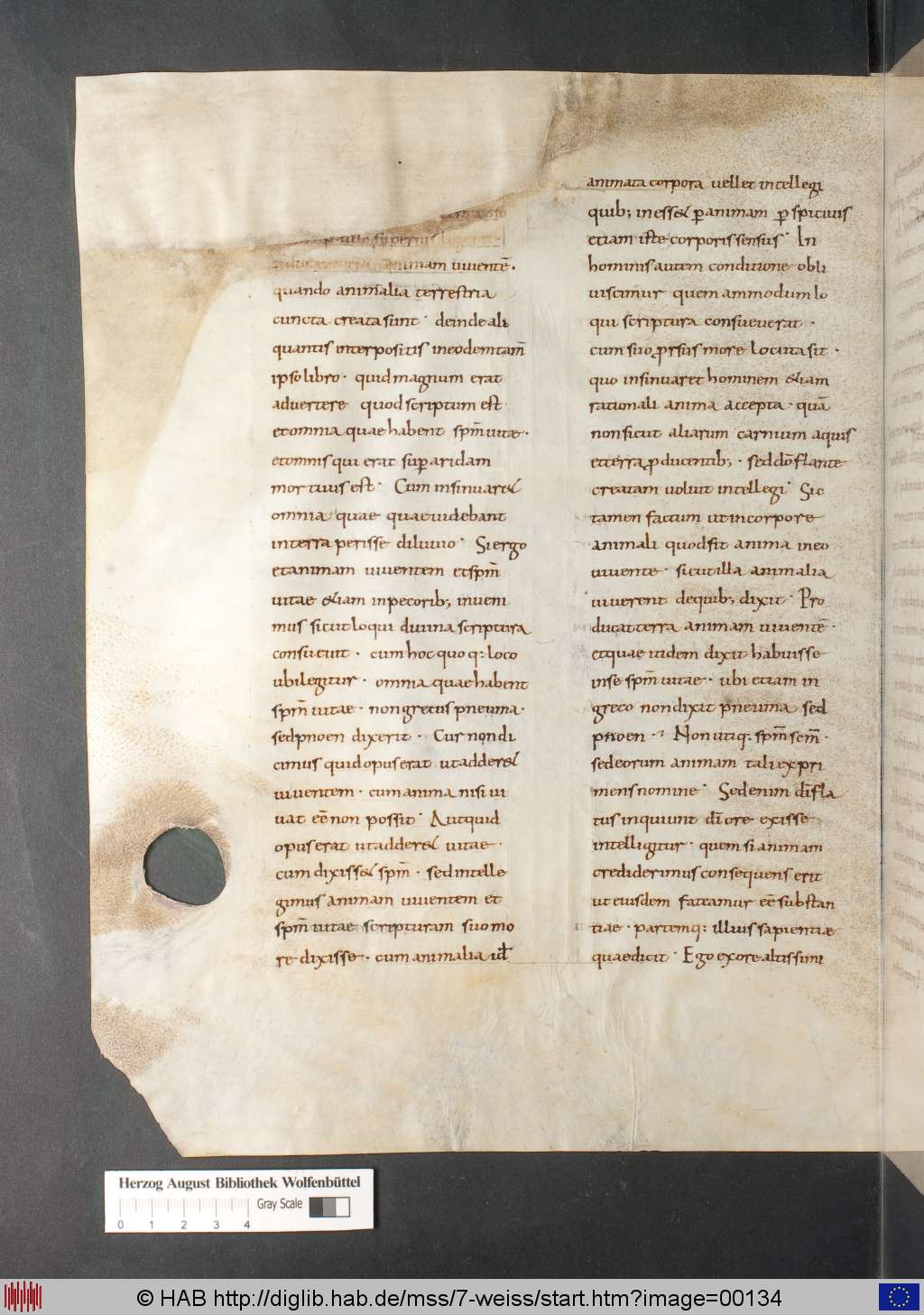 http://diglib.hab.de/mss/7-weiss/00134.jpg