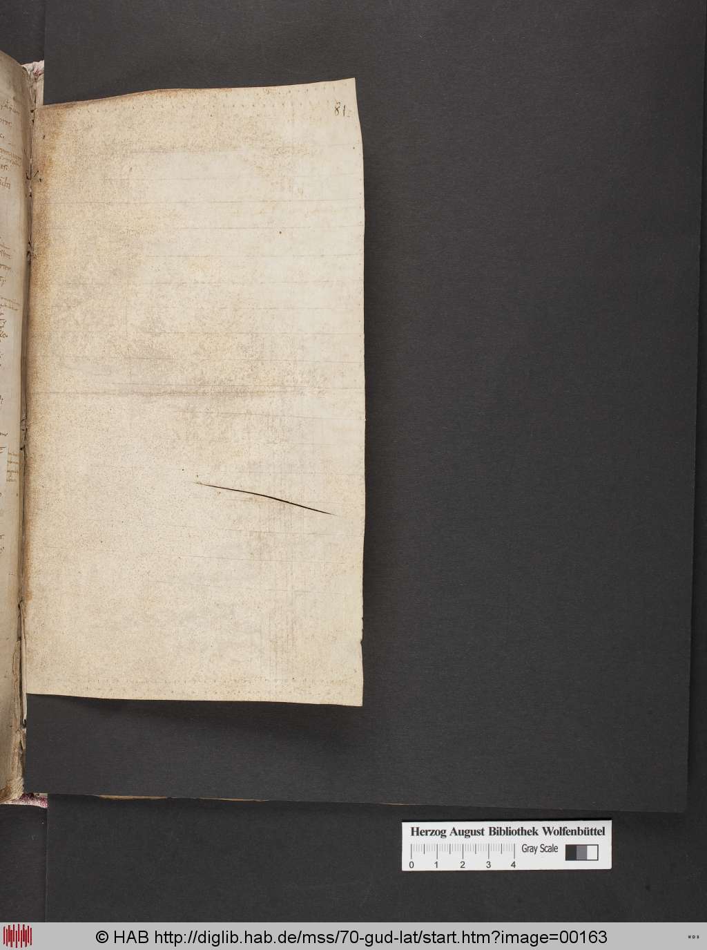 http://diglib.hab.de/mss/70-gud-lat/00163.jpg