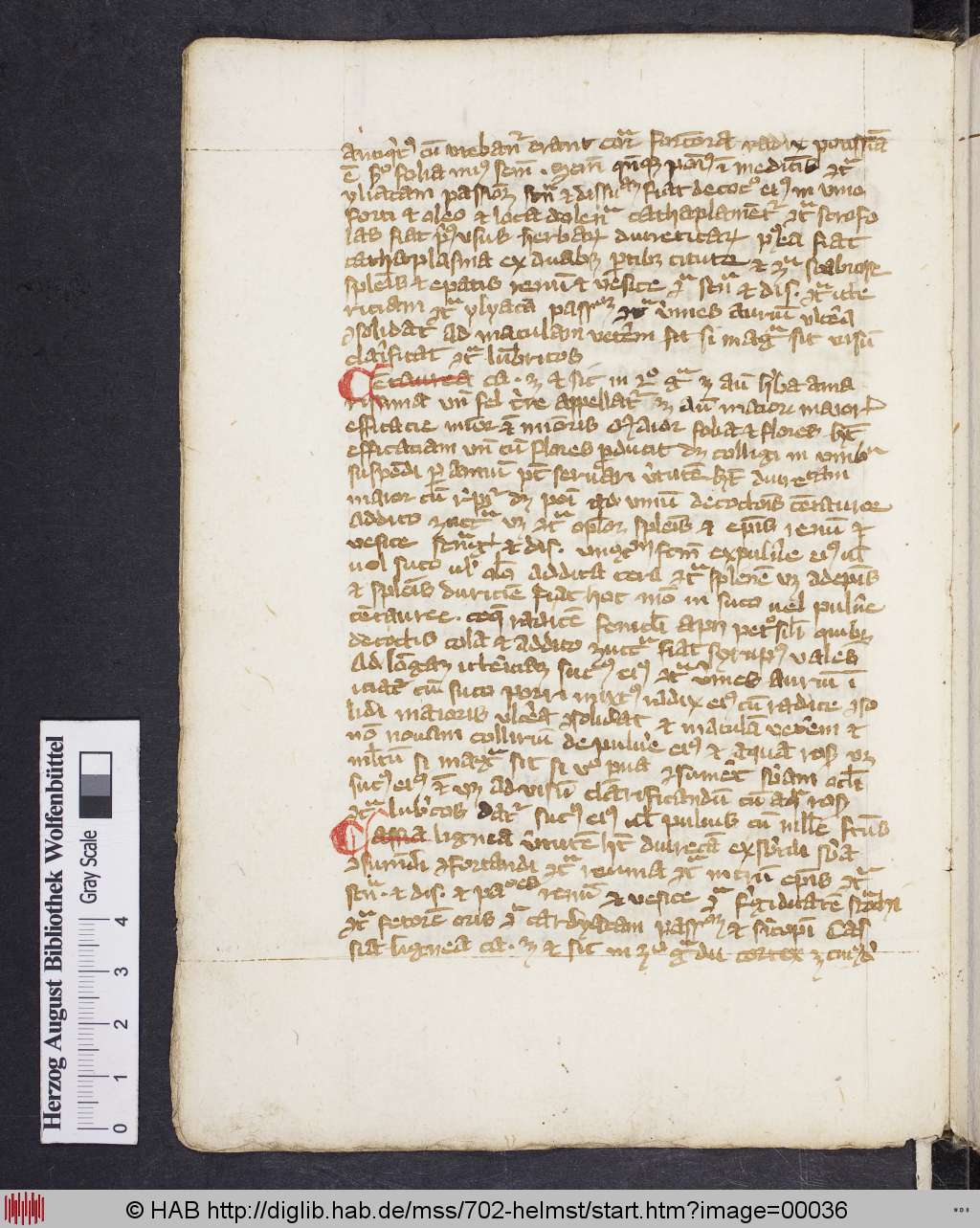 http://diglib.hab.de/mss/702-helmst/00036.jpg