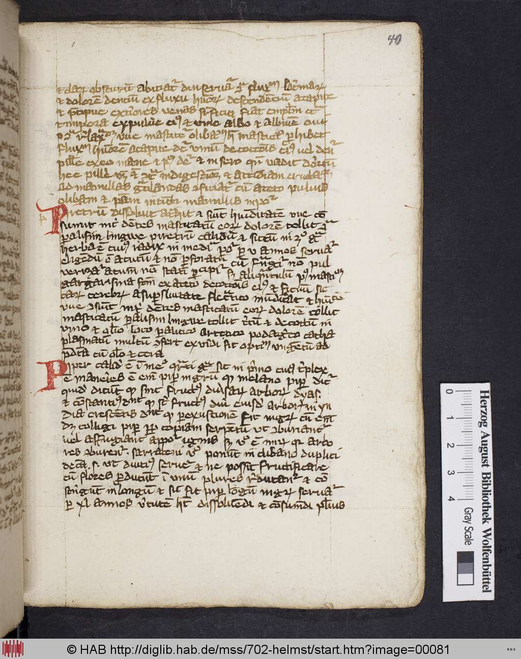 http://diglib.hab.de/mss/702-helmst/00081.jpg