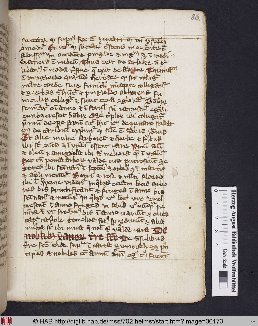 http://diglib.hab.de/mss/702-helmst/00173.jpg