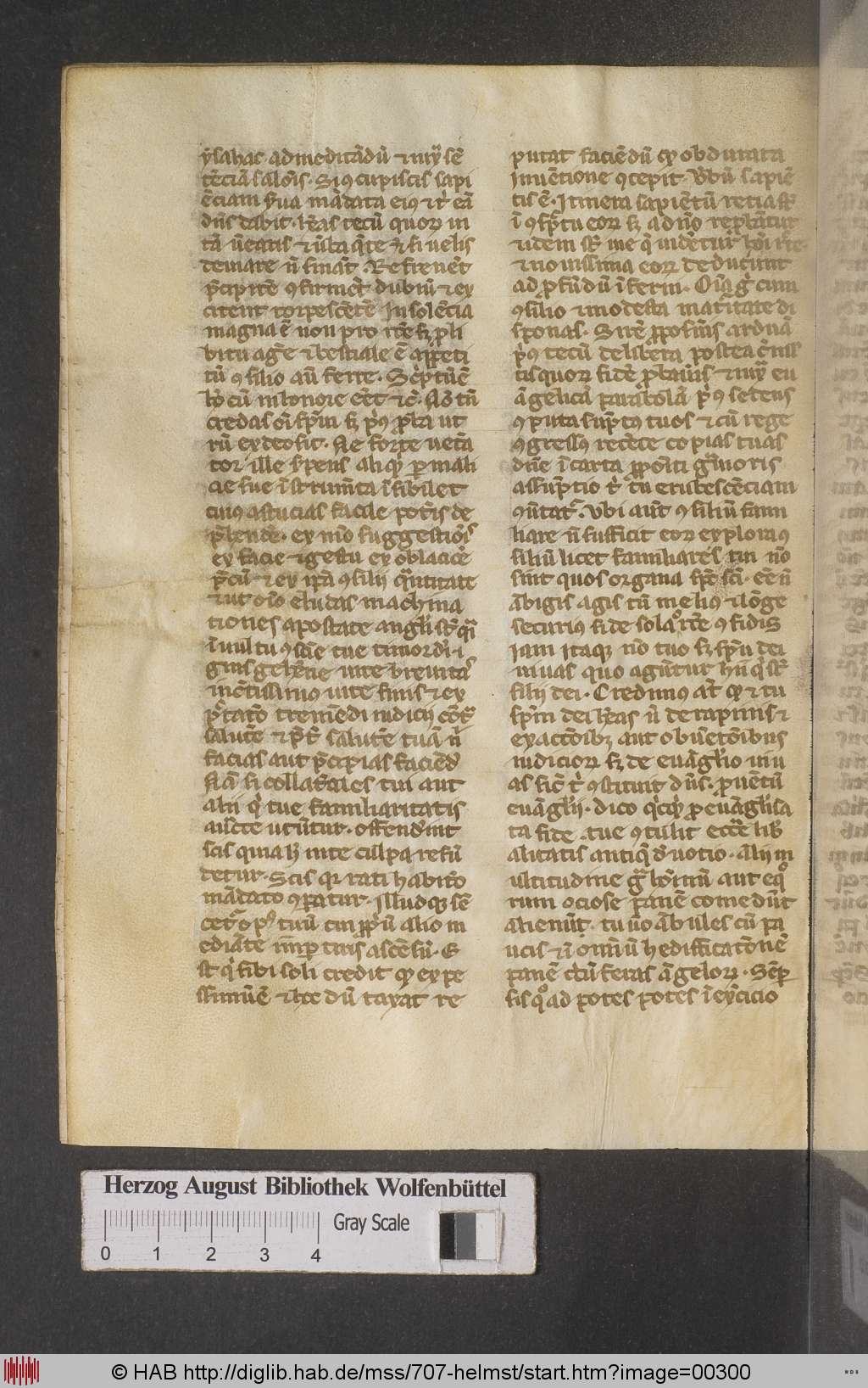 http://diglib.hab.de/mss/707-helmst/00300.jpg