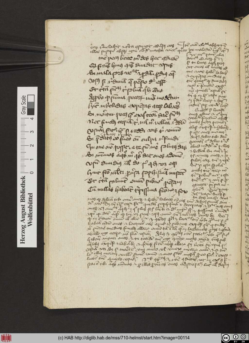 http://diglib.hab.de/mss/710-helmst/00114.jpg