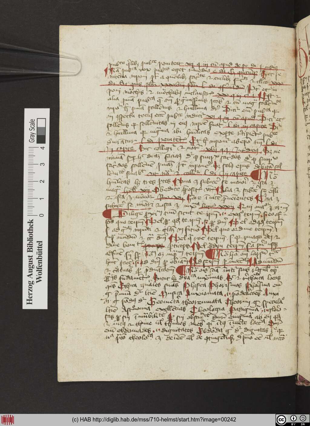 http://diglib.hab.de/mss/710-helmst/00242.jpg
