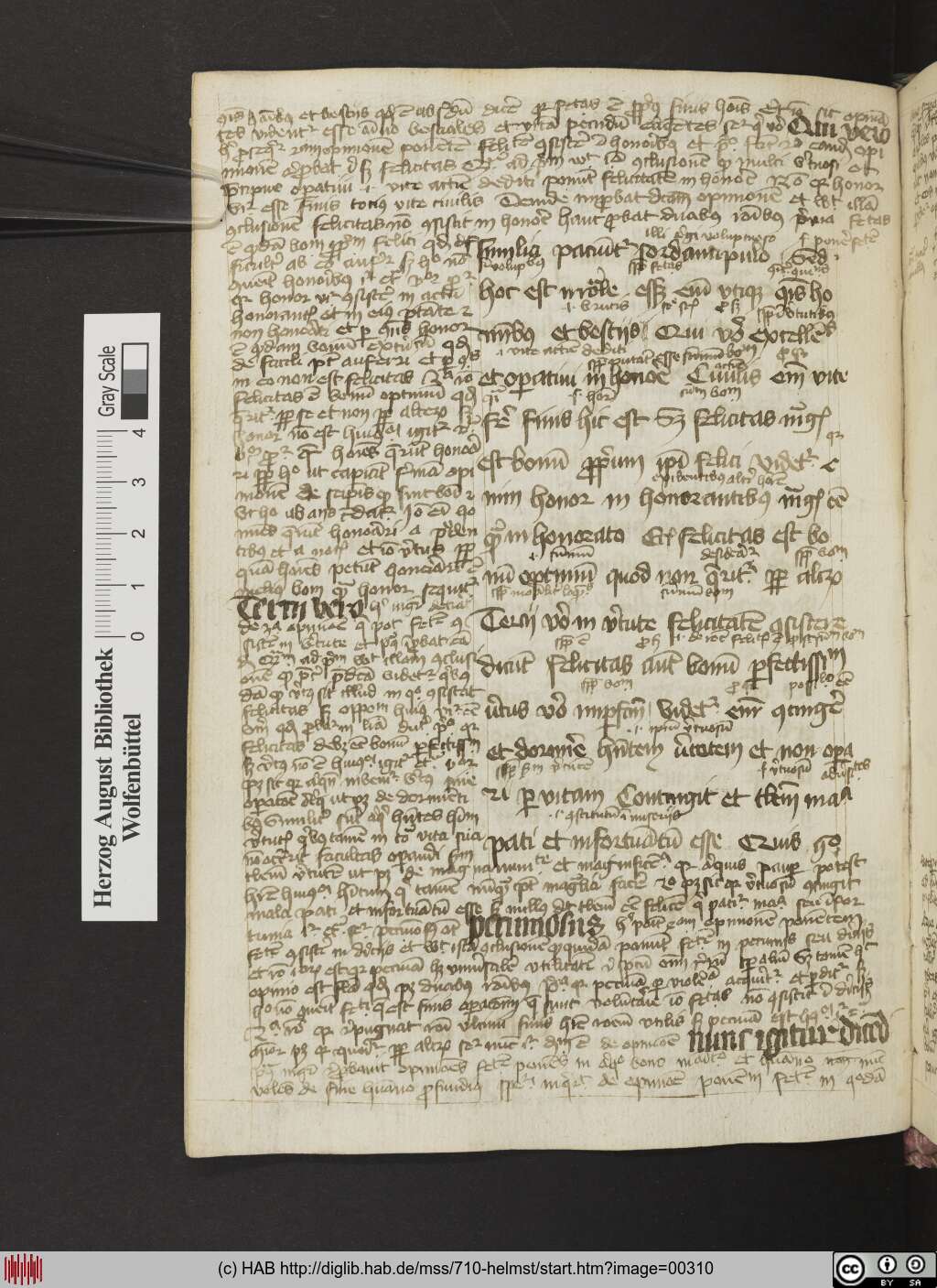 http://diglib.hab.de/mss/710-helmst/00310.jpg