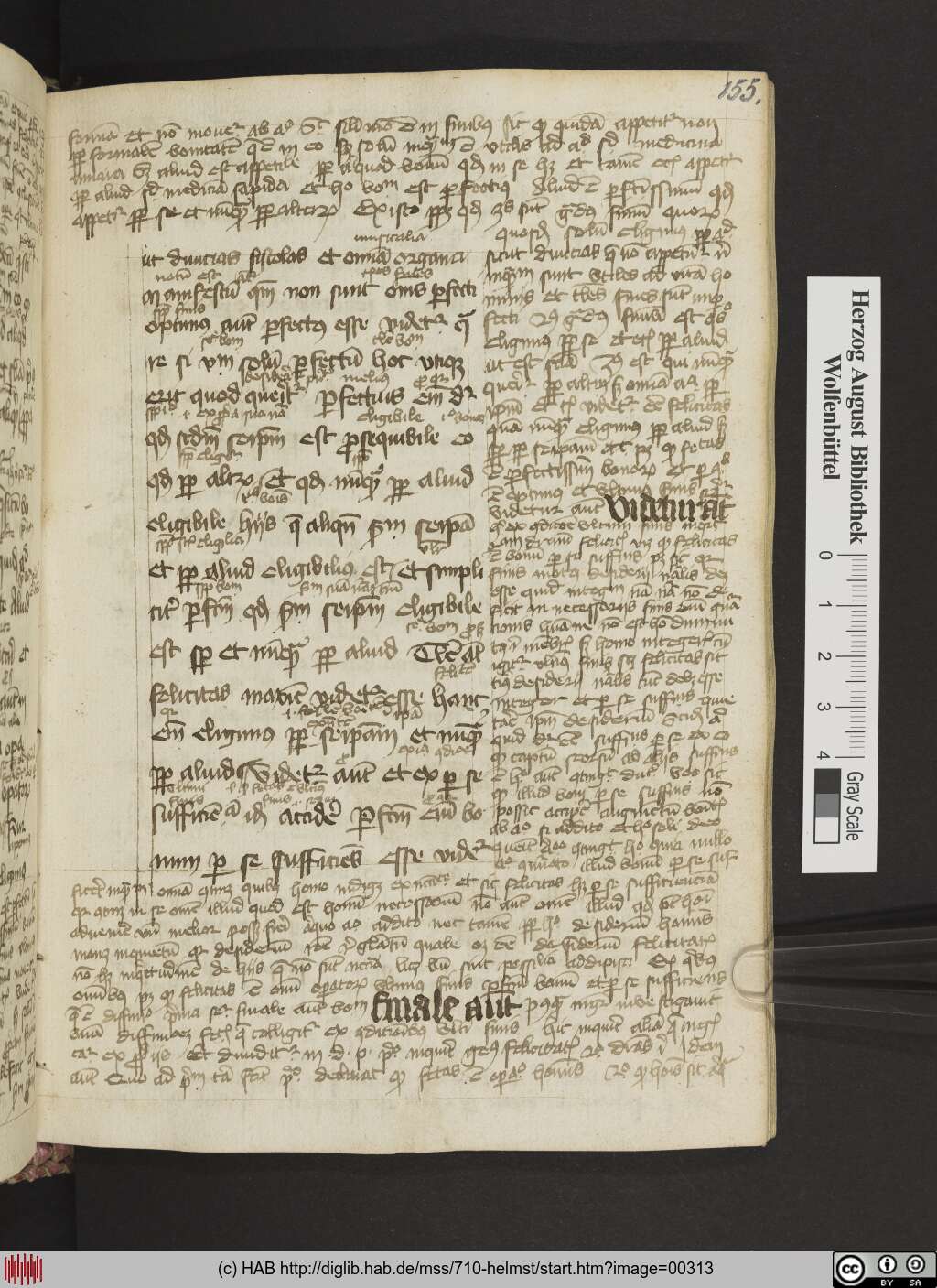 http://diglib.hab.de/mss/710-helmst/00313.jpg