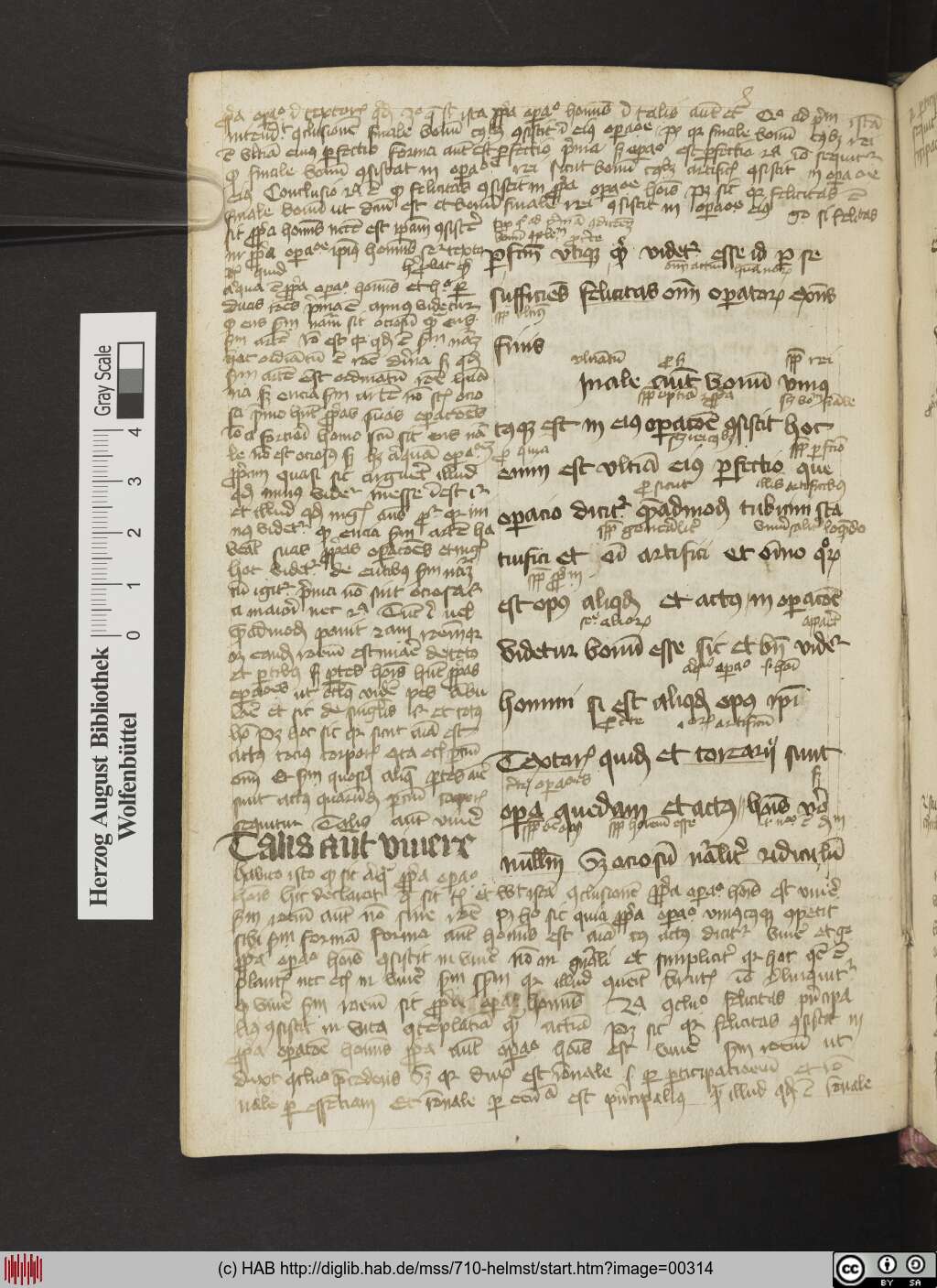 http://diglib.hab.de/mss/710-helmst/00314.jpg