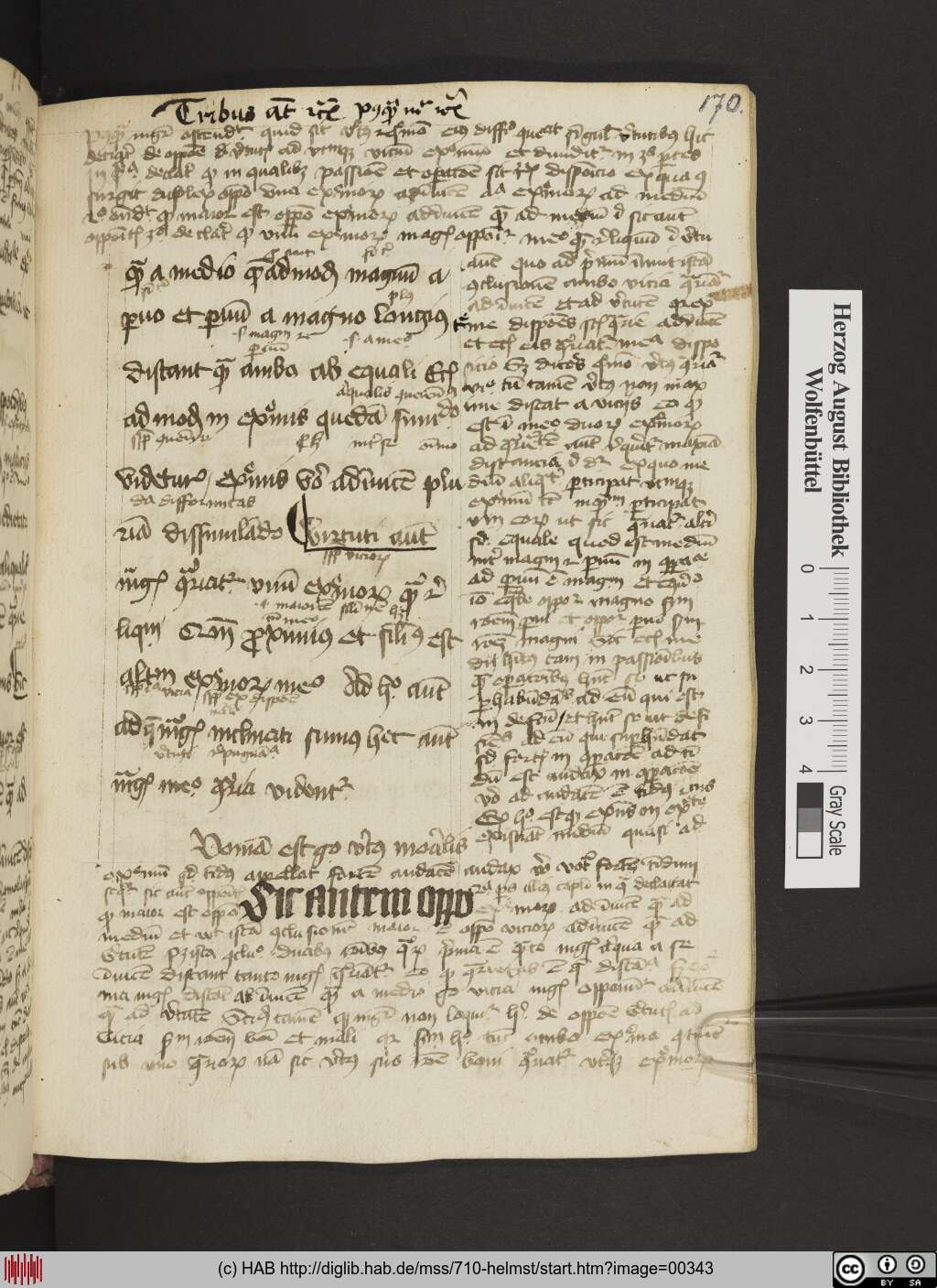 http://diglib.hab.de/mss/710-helmst/00343.jpg