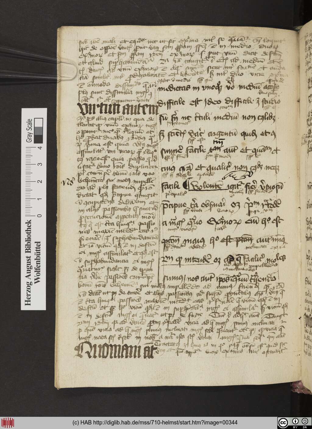 http://diglib.hab.de/mss/710-helmst/00344.jpg