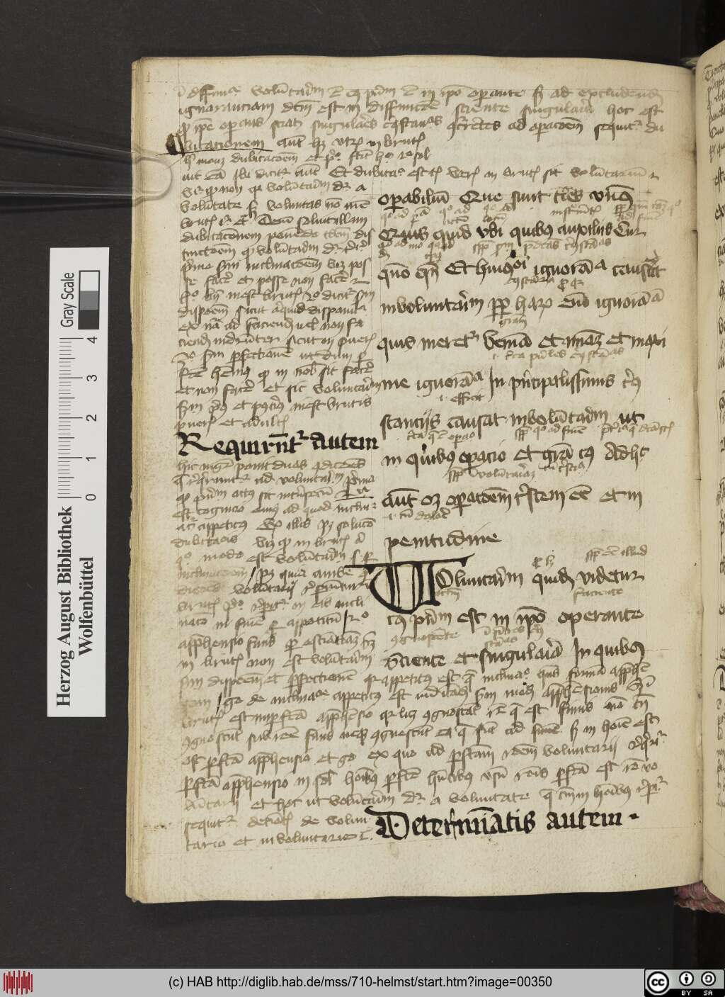 http://diglib.hab.de/mss/710-helmst/00350.jpg