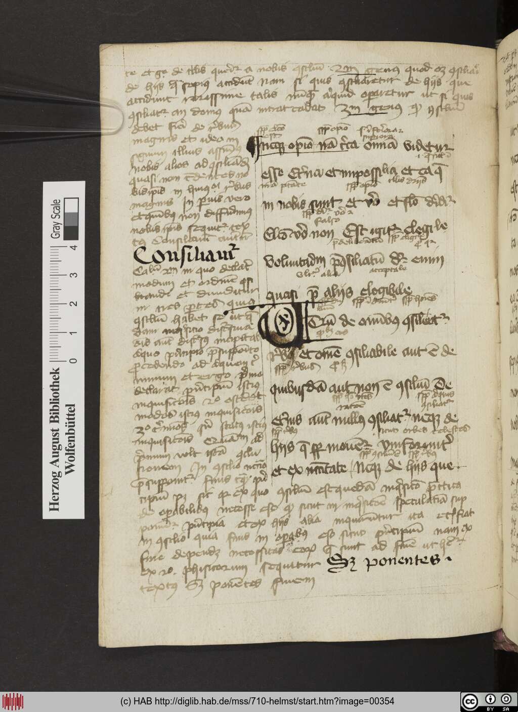http://diglib.hab.de/mss/710-helmst/00354.jpg