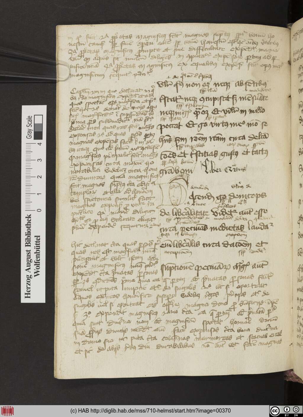 http://diglib.hab.de/mss/710-helmst/00370.jpg