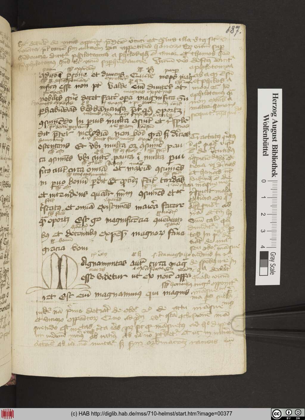 http://diglib.hab.de/mss/710-helmst/00377.jpg