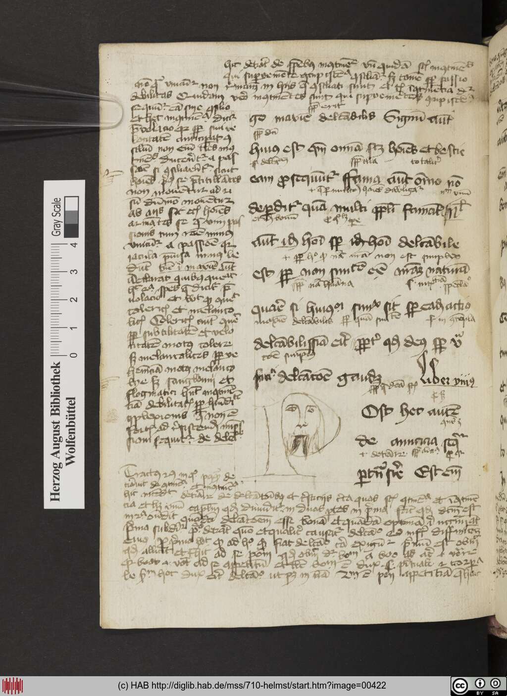 http://diglib.hab.de/mss/710-helmst/00422.jpg