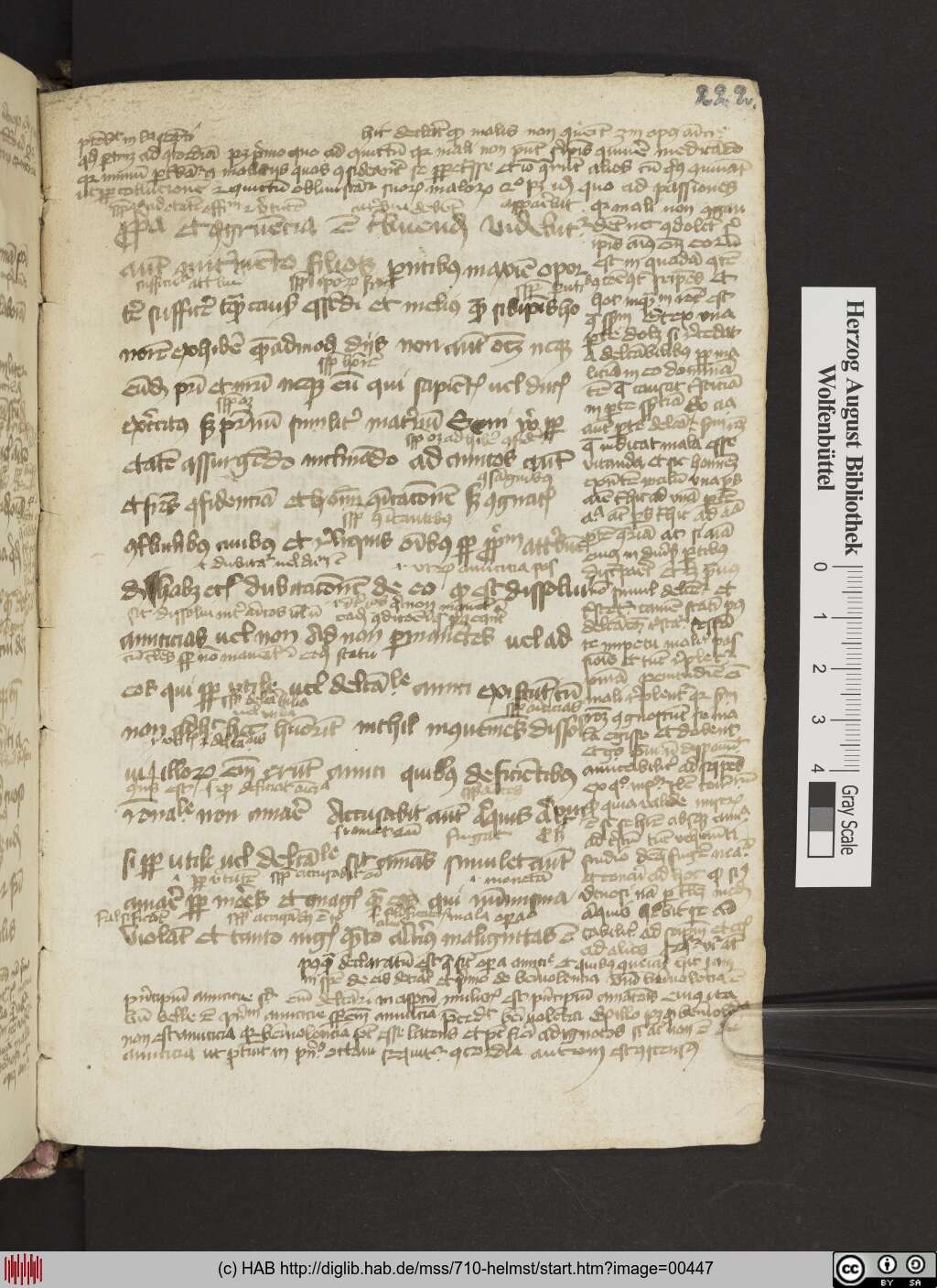 http://diglib.hab.de/mss/710-helmst/00447.jpg
