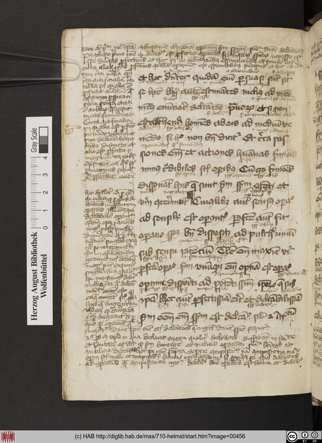 http://diglib.hab.de/mss/710-helmst/00456.jpg