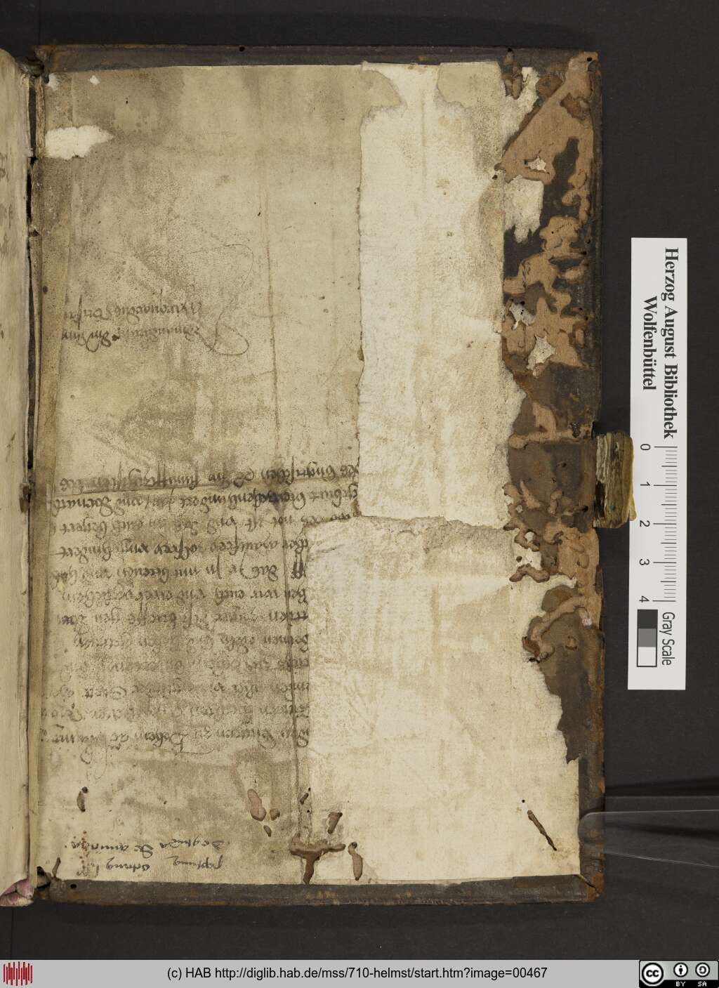 http://diglib.hab.de/mss/710-helmst/00467.jpg
