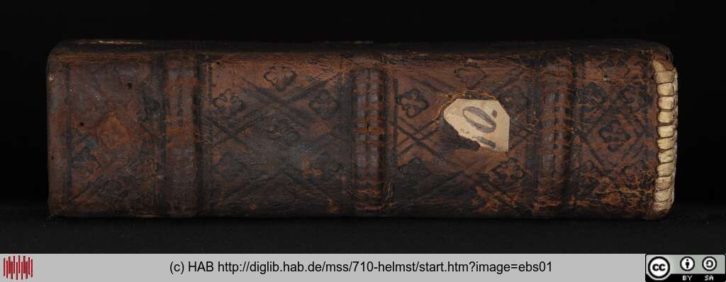 http://diglib.hab.de/mss/710-helmst/ebs01.jpg