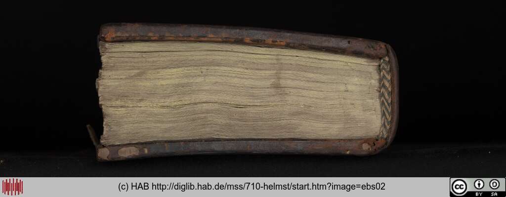 http://diglib.hab.de/mss/710-helmst/ebs02.jpg