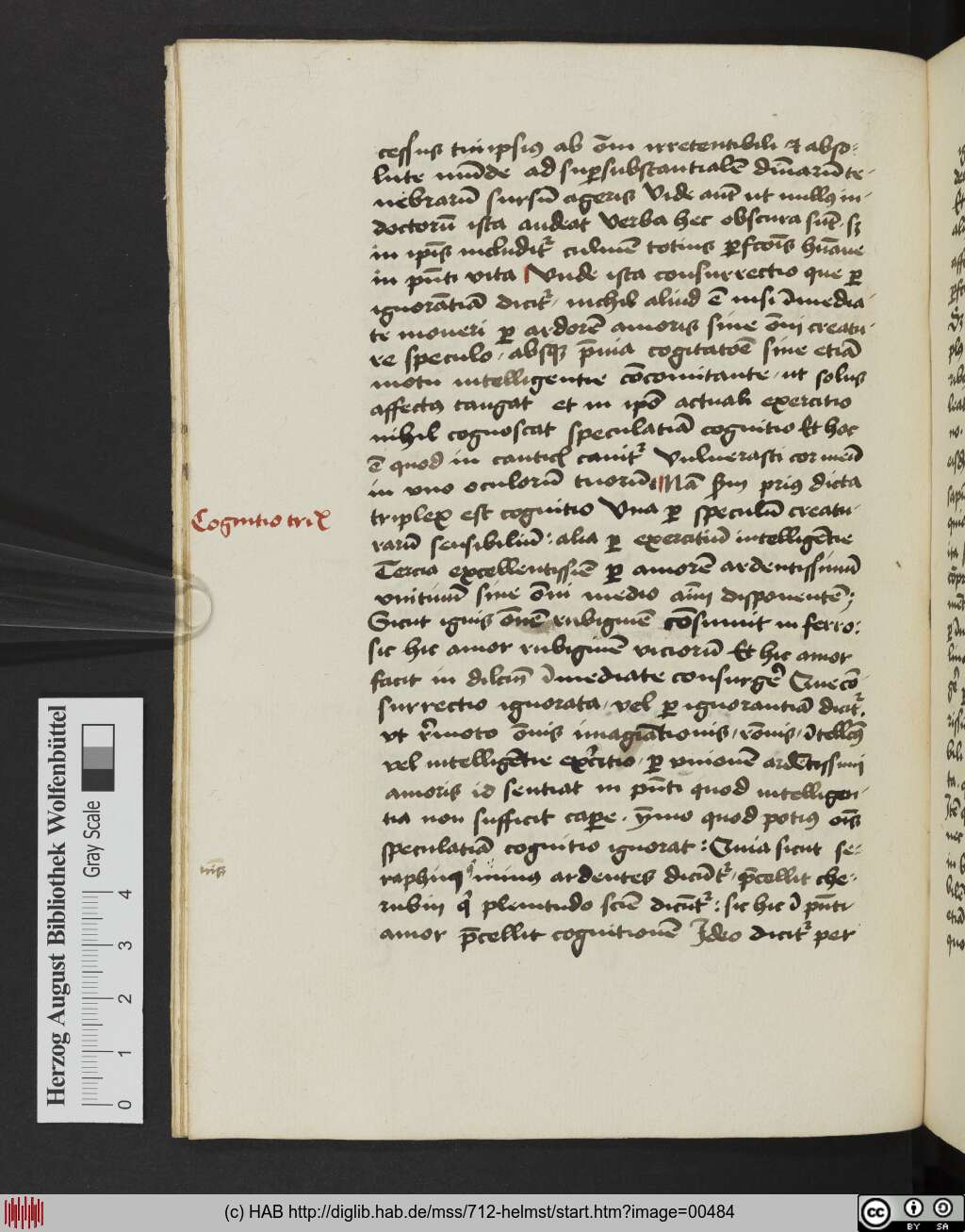 http://diglib.hab.de/mss/712-helmst/00484.jpg