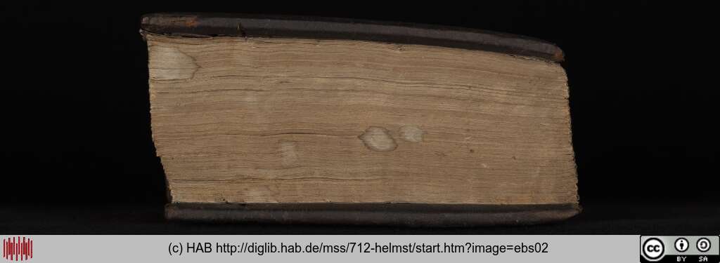 http://diglib.hab.de/mss/712-helmst/ebs02.jpg