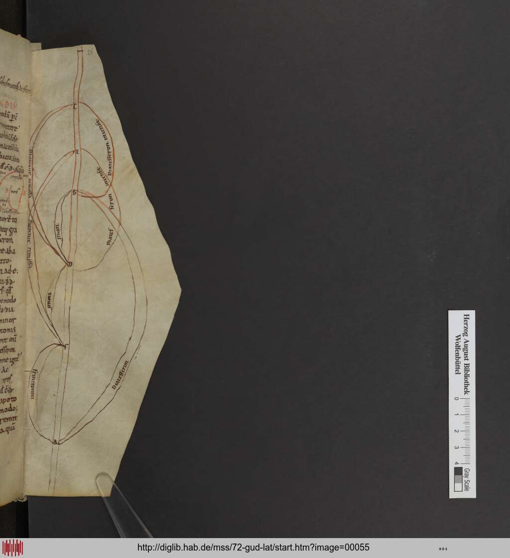 http://diglib.hab.de/mss/72-gud-lat/00055.jpg