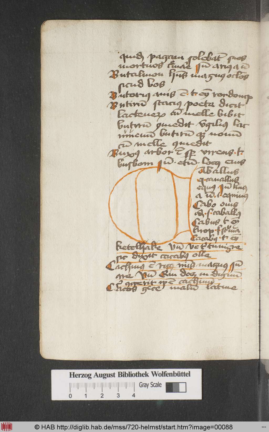 http://diglib.hab.de/mss/720-helmst/00088.jpg