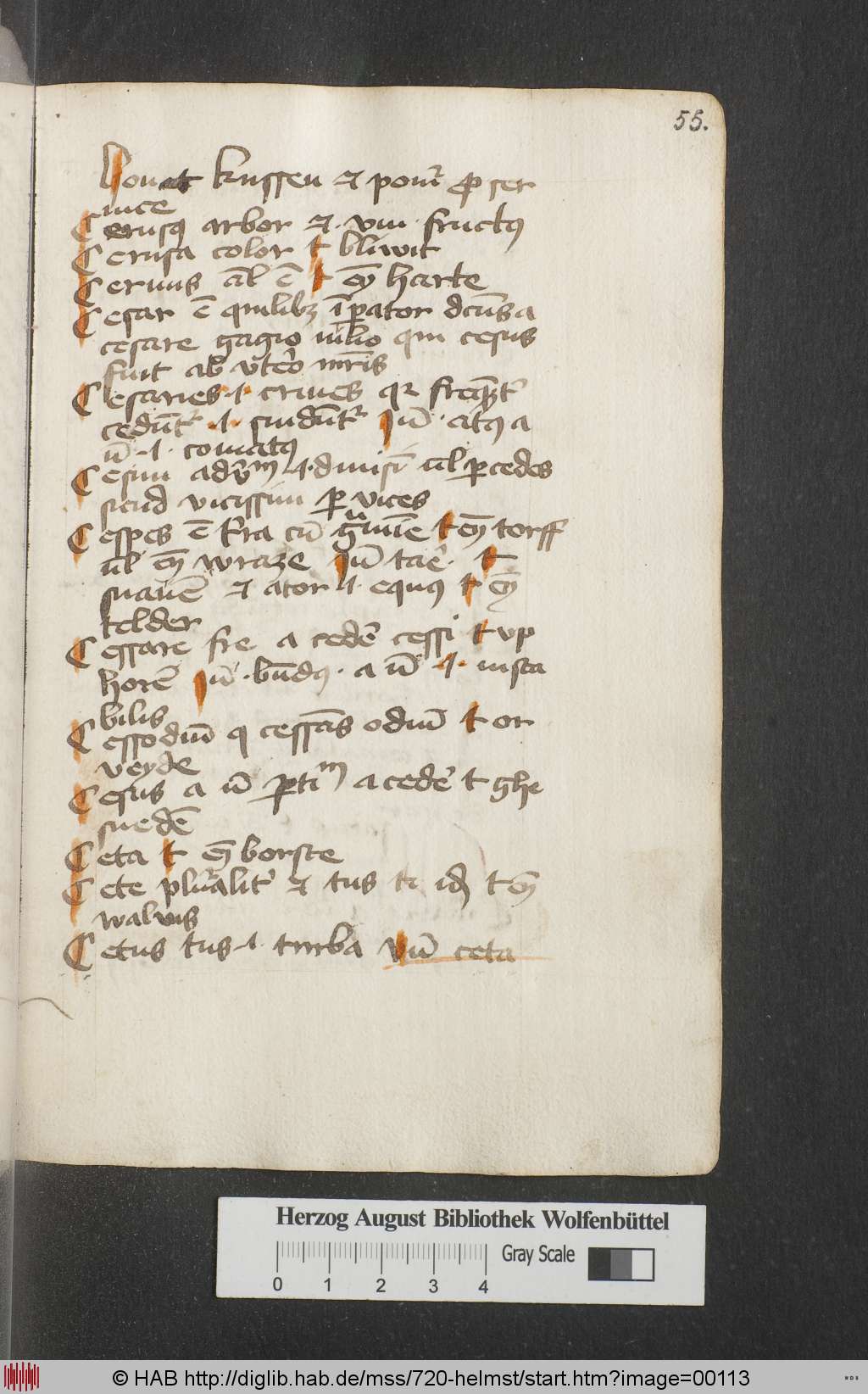 http://diglib.hab.de/mss/720-helmst/00113.jpg