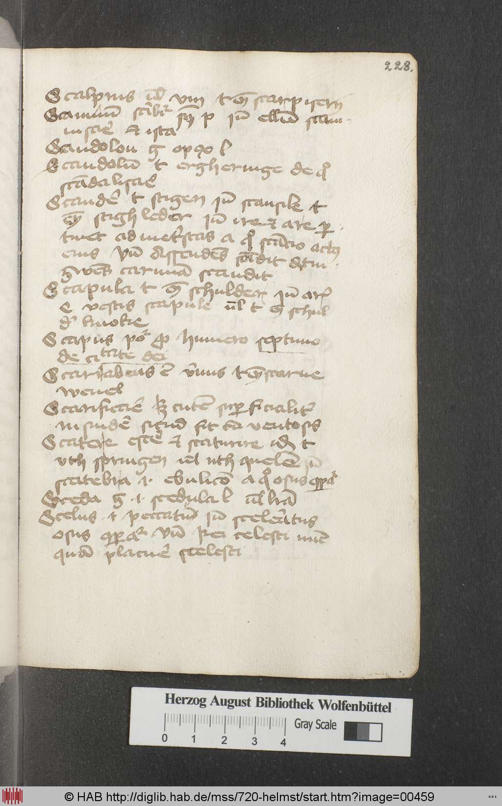 http://diglib.hab.de/mss/720-helmst/00459.jpg
