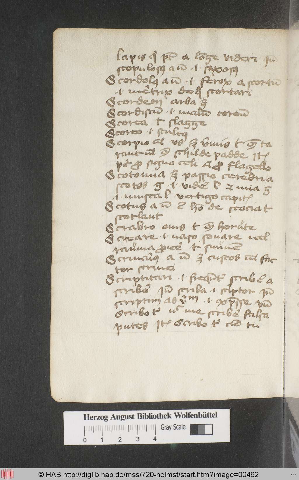 http://diglib.hab.de/mss/720-helmst/00462.jpg