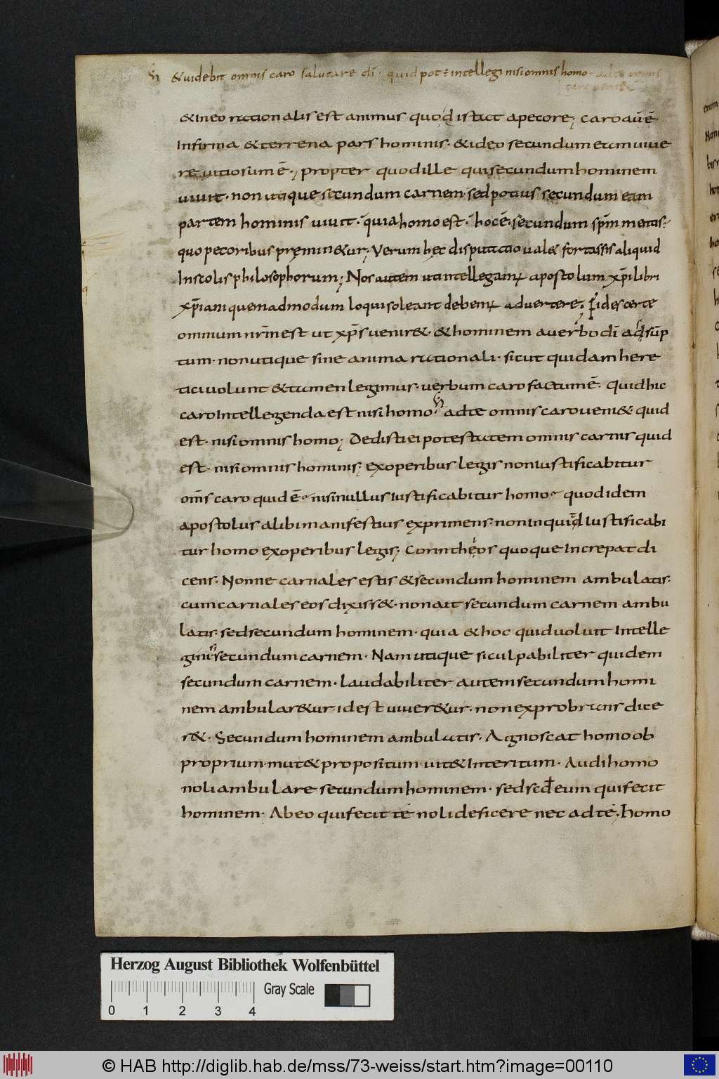 http://diglib.hab.de/mss/73-weiss/00110.jpg