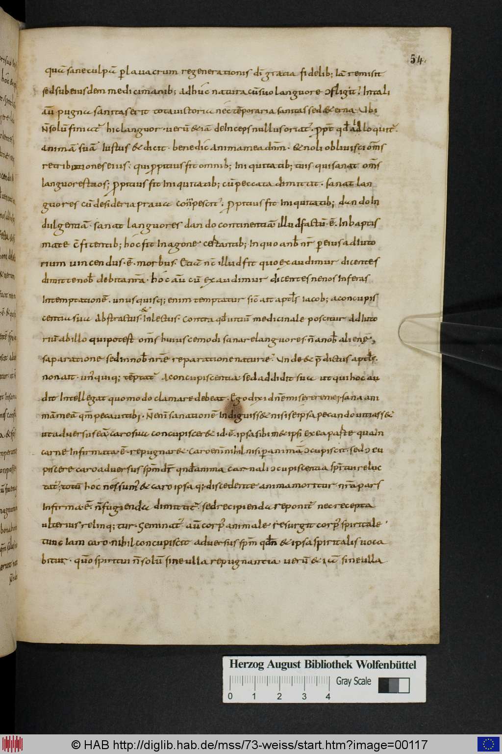 http://diglib.hab.de/mss/73-weiss/00117.jpg