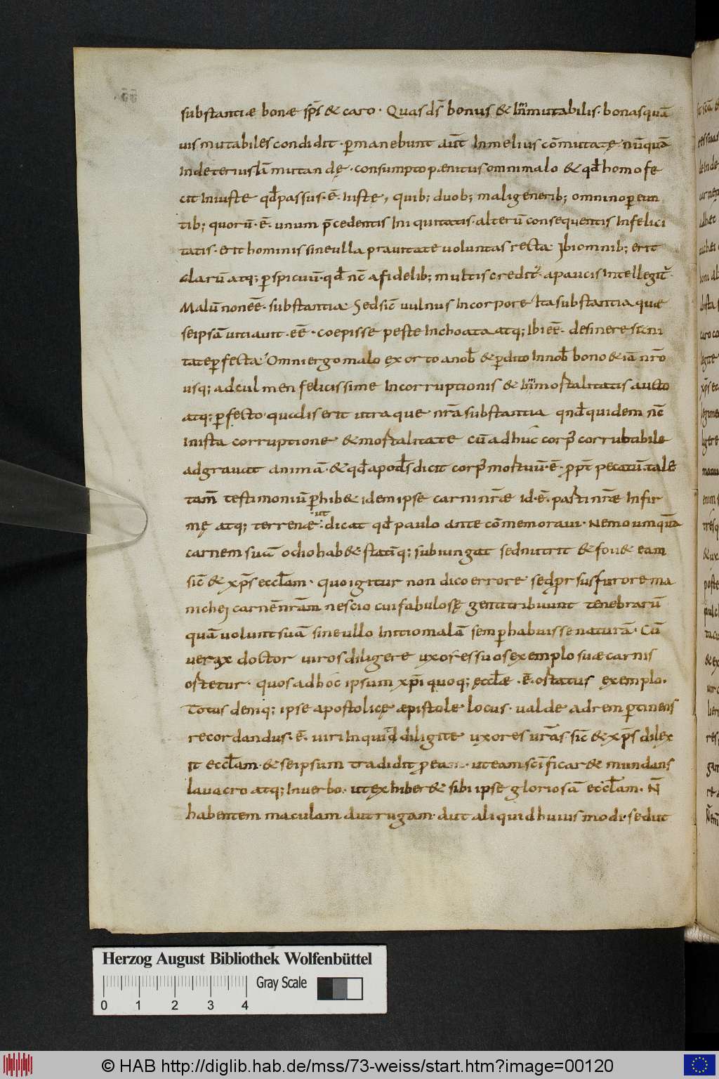http://diglib.hab.de/mss/73-weiss/00120.jpg