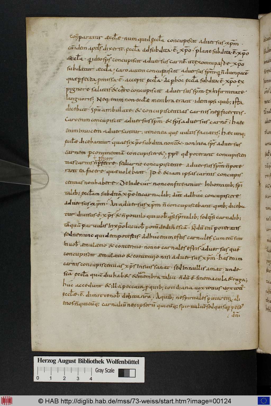 http://diglib.hab.de/mss/73-weiss/00124.jpg