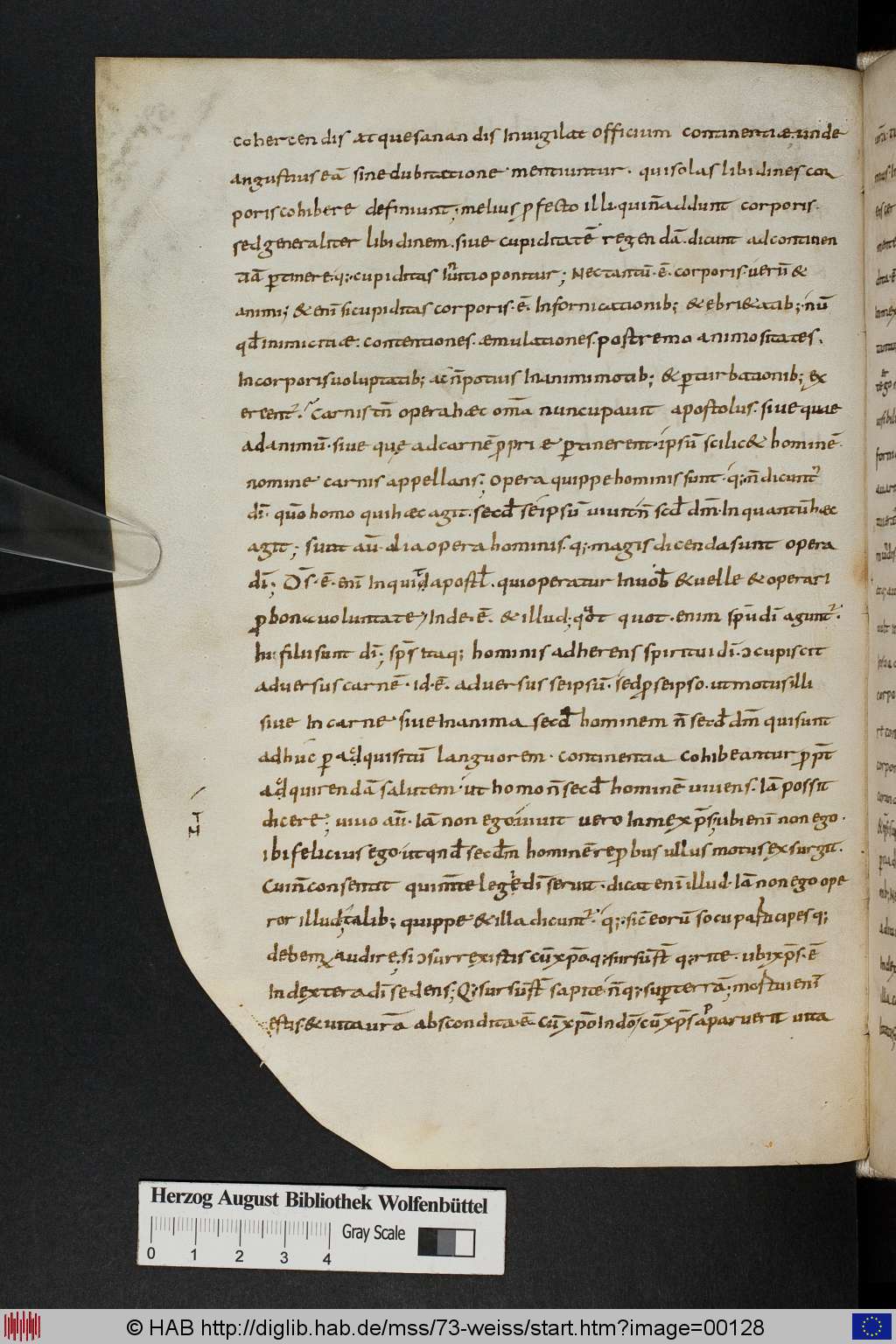 http://diglib.hab.de/mss/73-weiss/00128.jpg