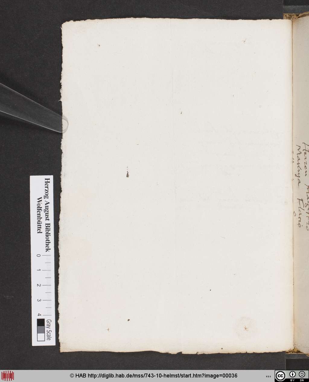 http://diglib.hab.de/mss/743-10-helmst/00036.jpg