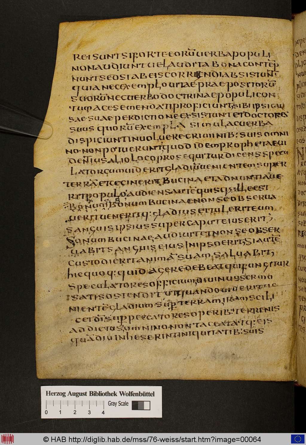 http://diglib.hab.de/mss/76-weiss/00064.jpg