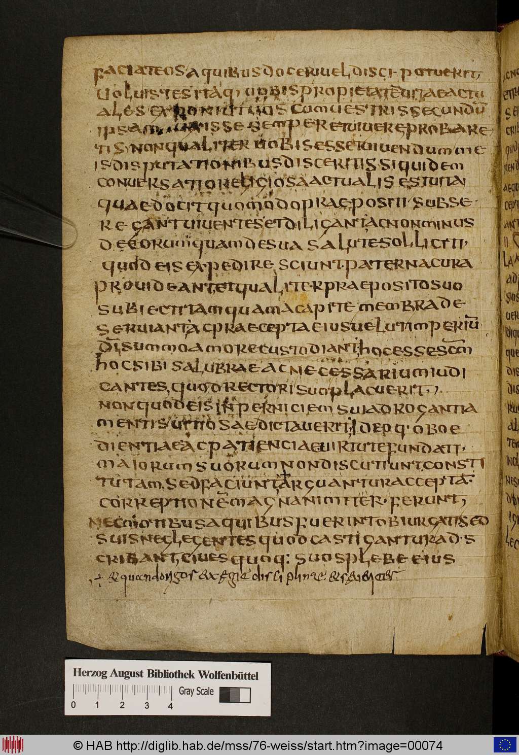 http://diglib.hab.de/mss/76-weiss/00074.jpg