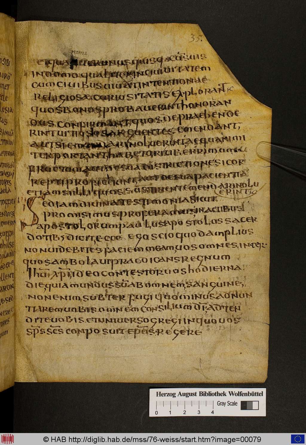 http://diglib.hab.de/mss/76-weiss/00079.jpg