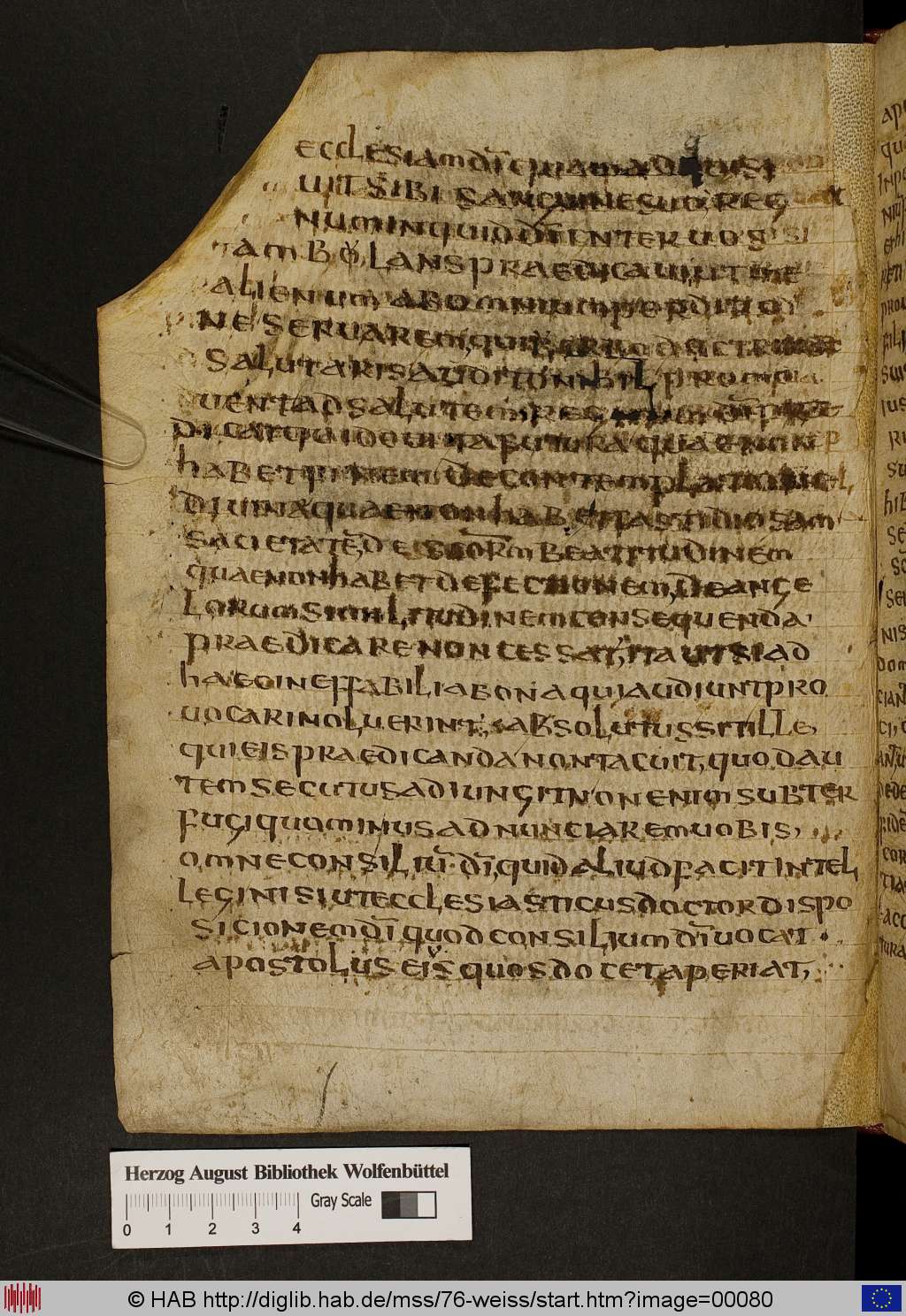 http://diglib.hab.de/mss/76-weiss/00080.jpg