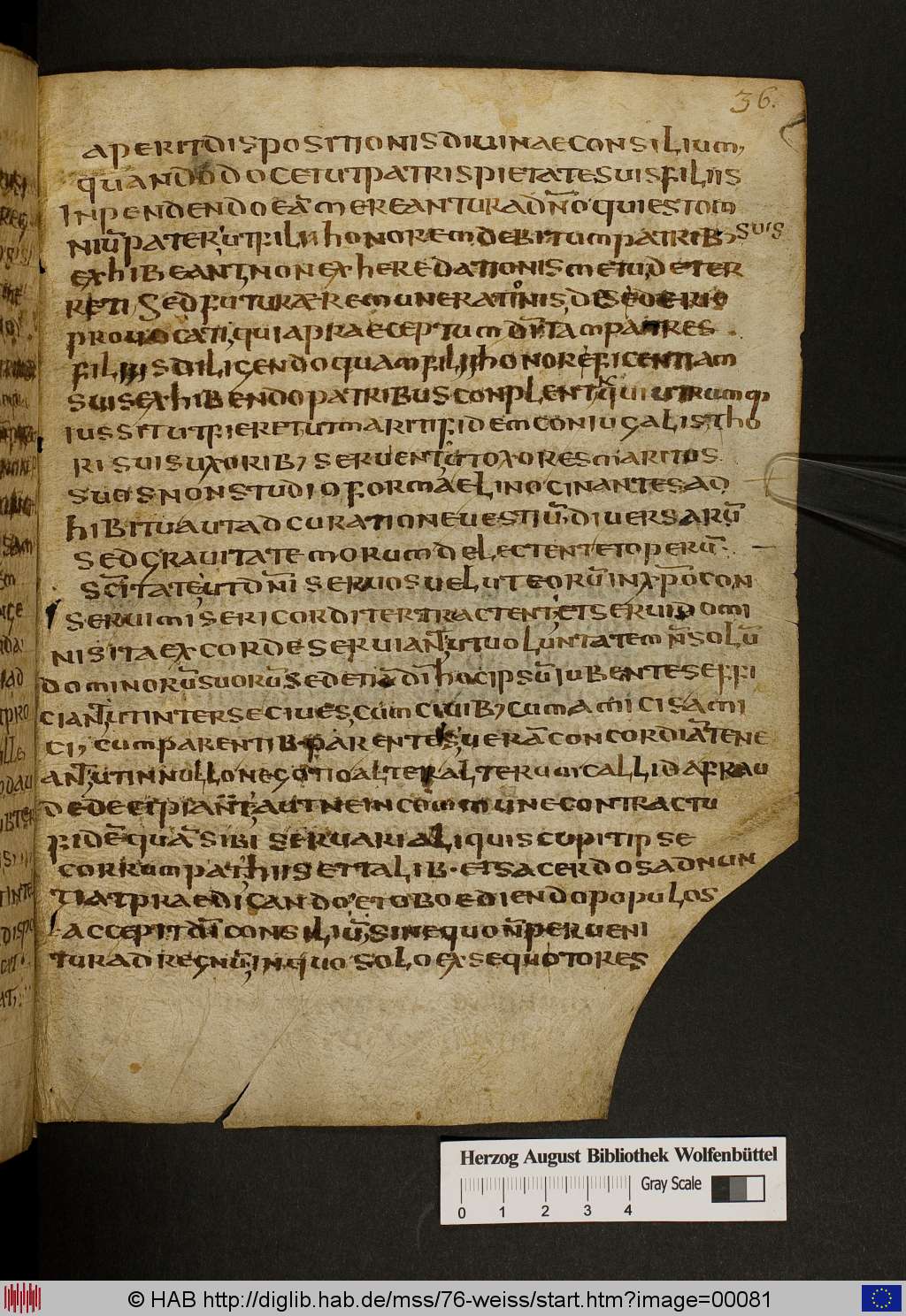 http://diglib.hab.de/mss/76-weiss/00081.jpg