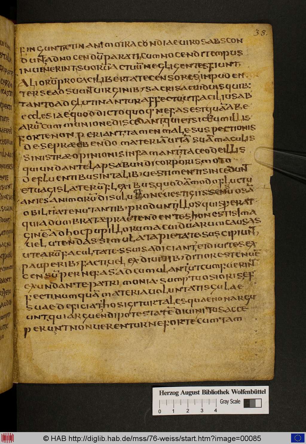 http://diglib.hab.de/mss/76-weiss/00085.jpg